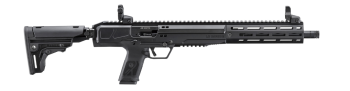 Ruger LC Carbine