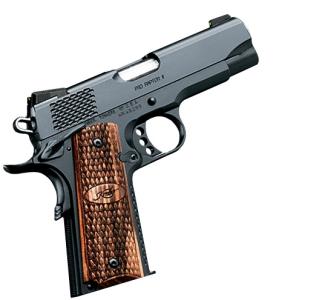 Pro Raptor II, .45ACP